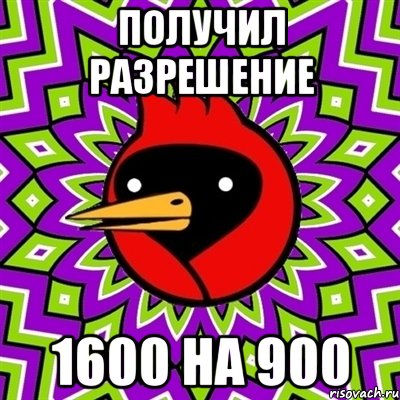 получил разрешение 1600 на 900, Мем Омская птица