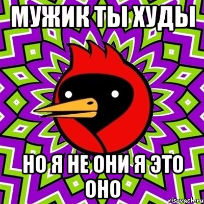 МУЖИК ТЫ ХУДЫ НО Я НЕ ОНИ Я ЭТО ОНО, Мем Омская птица