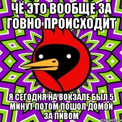 чё это вообще за говно происходит я сегодня на вокзале был 5 минут потом пошол домой за пивом, Мем Омская птица