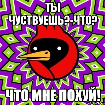 Ты чуствуешь?-Что? Что мне похуй!, Мем Омская птица