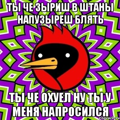 Ты че зыриш в штаны напузыреш блять Ты че охуел ну ты у меня напросился, Мем Омская птица