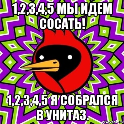 1,2,3,4,5 мы идем сосать! 1,2,3,4,5 я собрался в унитаз., Мем Омская птица