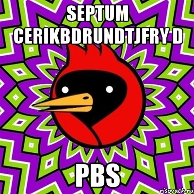 Septum cerikbdrundtjfry d PBS, Мем Омская птица