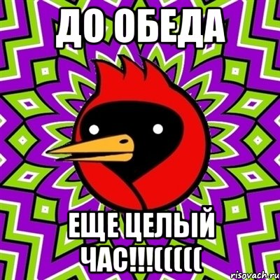 до обеда еще целый час!!!(((((, Мем Омская птица