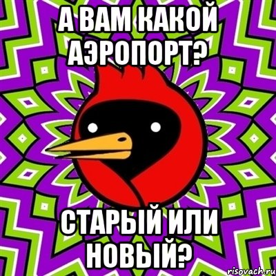 А Вам какой аэропорт? Старый или новый?, Мем Омская птица