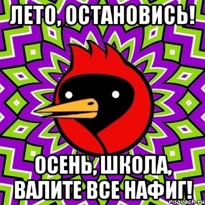 Лето, остановись! Осень, школа, валите все нафиг!, Мем Омская птица