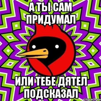 А ты сам придумал Или тебе дятел подсказал, Мем Омская птица