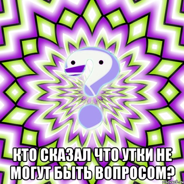  Кто сказал что утки не могут быть вопросом?, Мем Омская загадка