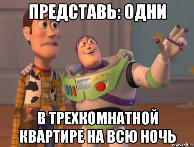 Представь: одни В трехкомнатной квартире на всю ночь, Мем Они повсюду (История игрушек)