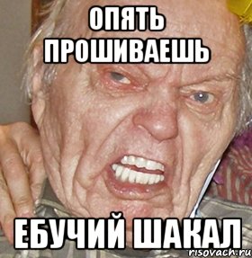 ОПЯТЬ ПРОШИВАЕШЬ ЕБУЧИЙ ШАКАЛ, Мем опять начинаешь ибучий шакал