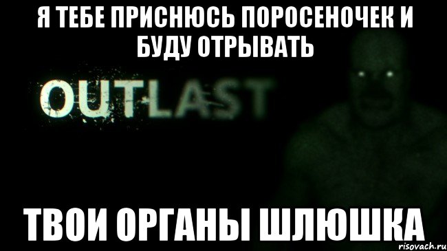 Я ТЕБЕ ПРИСНЮСЬ ПОРОСЕНОЧЕК И БУДУ ОТРЫВАТЬ ТВОИ ОРГАНЫ ШЛЮШКА