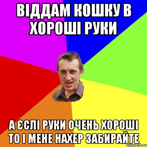 Віддам кошку в хороші руки а єслі руки очень хороші то і мене нахер забирайте, Мем Чоткий паца