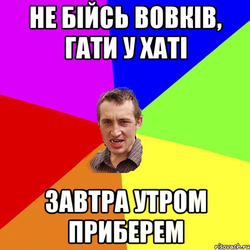 НЕ БІЙСЬ ВОВКІВ, ГАТИ У ХАТІ завтра утром приберем, Мем Чоткий паца