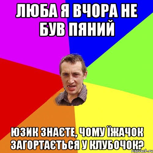 люба я вчора не був пяний юзик Знаєте, чому їжачок загортається у клубочок?, Мем Чоткий паца