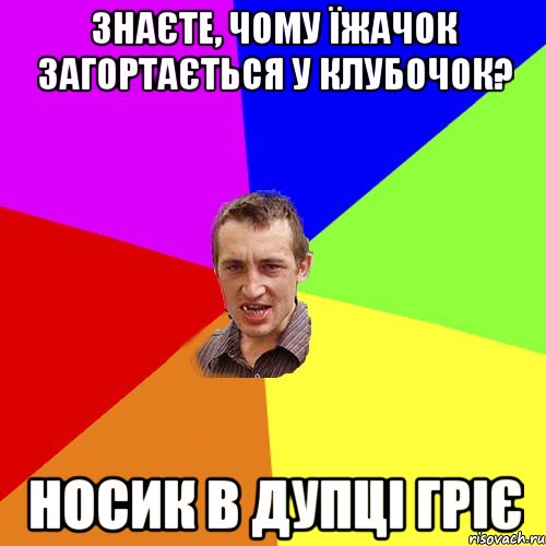 Знаєте, чому їжачок загортається у клубочок? Носик в дупці гріє, Мем Чоткий паца