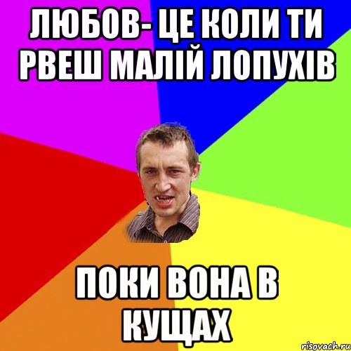 любов- це коли ти рвеш малій лопухів поки вона в кущах, Мем Чоткий паца