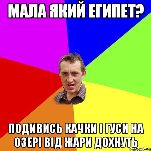 мала який Египет? подивись качки і гуси на озері від жари дохнуть, Мем Чоткий паца