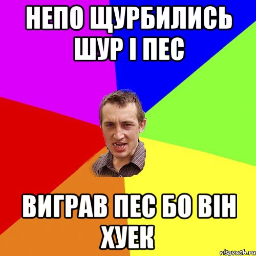 Непо щурБились шур і пес Виграв пес бо він хуек, Мем Чоткий паца