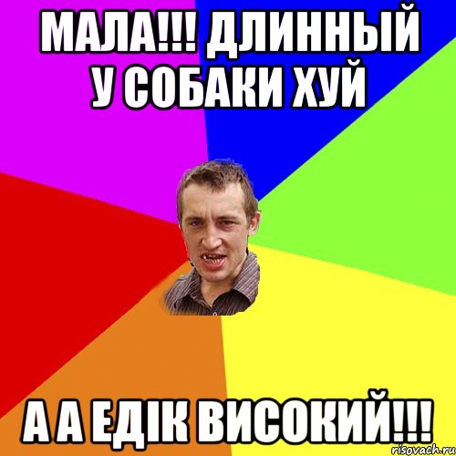 Мала!!! Длинный у собаки хуй А А Едік високий!!!, Мем Чоткий паца