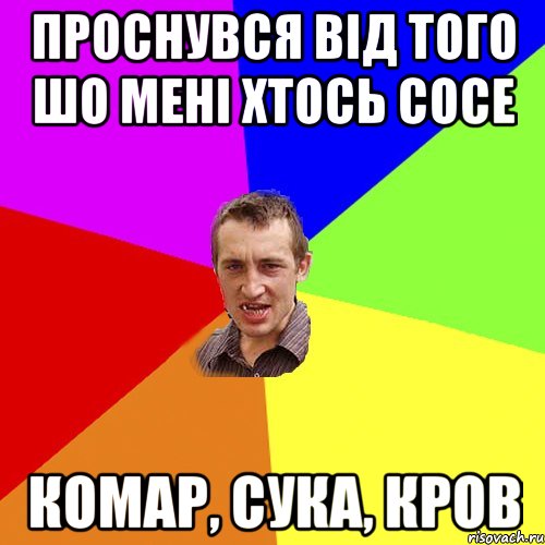 проснувся від того шо мені хтось сосе комар, сука, кров, Мем Чоткий паца