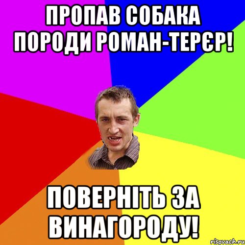 Пропав Собака породи Роман-терєр! Поверніть за винагороду!, Мем Чоткий паца