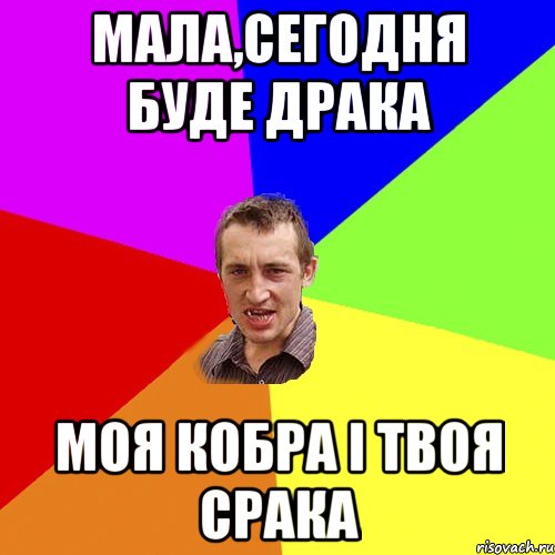 Мала,сегодня буде драка Моя кобра і твоя срака, Мем Чоткий паца