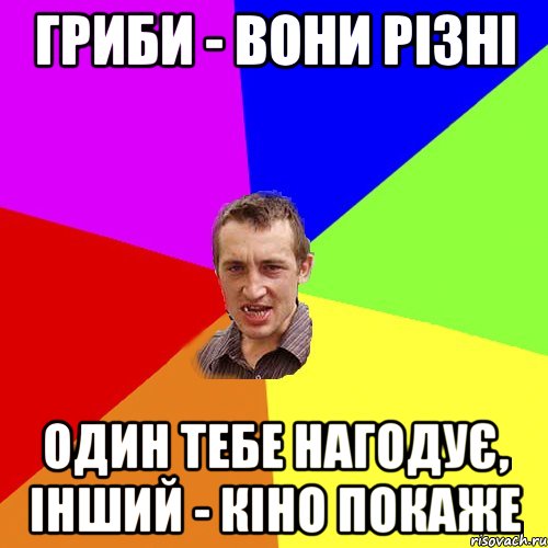 Гриби - вони різні Один тебе нагодує, інший - кіно покаже, Мем Чоткий паца