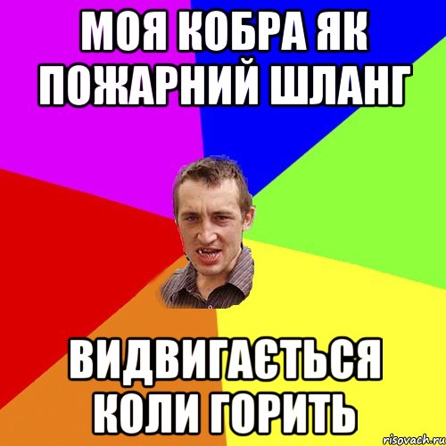 моя кобра як пожарний шланг видвигається коли горить, Мем Чоткий паца