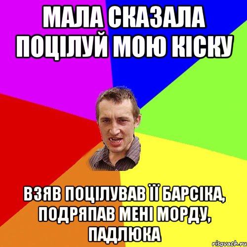 мала сказала поцілуй мою кіску взяв поцілував її барсіка, подряпав мені морду, падлюка, Мем Чоткий паца