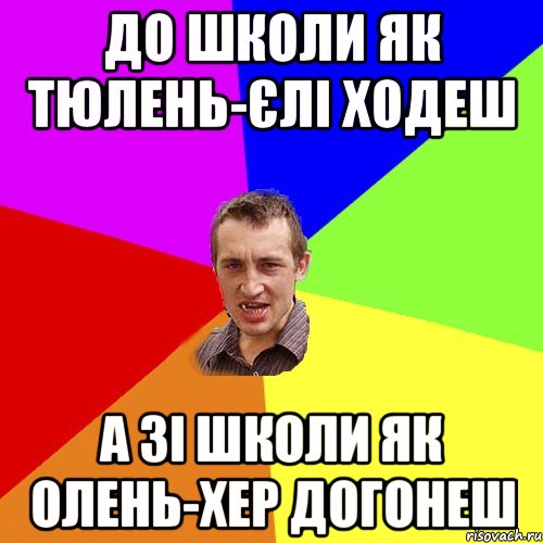 До школи як тюлень-єлі ходеш а зі школи як олень-хер догонеш, Мем Чоткий паца