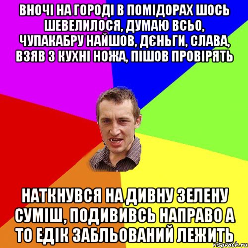 вночі на городі в помідорах шось шевелилося, думаю всьо, чупакабру найшов, дєньги, слава, взяв з кухні ножа, пішов провірять наткнувся на дивну зелену суміш, подививсь направо а то едік забльований лежить, Мем Чоткий паца