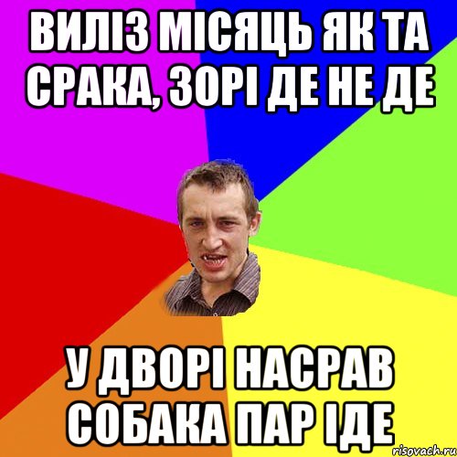 виліз місяць як та срака, зорі де не де у дворі насрав собака пар іде, Мем Чоткий паца