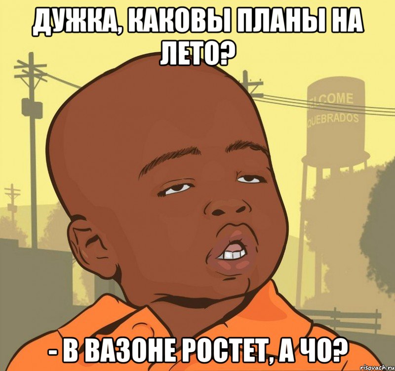 Дужка, каковы планы на лето? - В вазоне ростет, а чо?, Мем Пацан наркоман