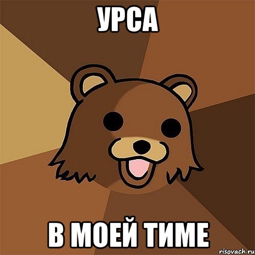 Урса В Моей Тиме, Мем Педобир