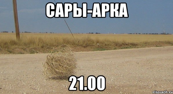 Сары-Арка 21.00, Мем перекати-поле одиночество