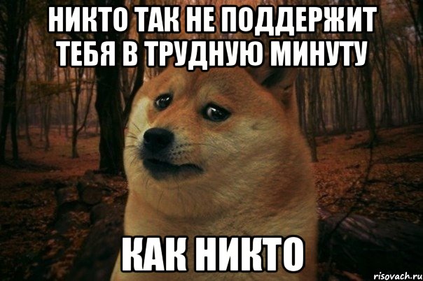 никто так не поддержит тебя в трудную минуту как никто, Мем SAD DOGE