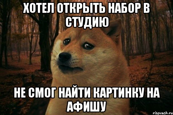 Хотел открыть набор в студию Не смог найти картинку на афишу, Мем SAD DOGE