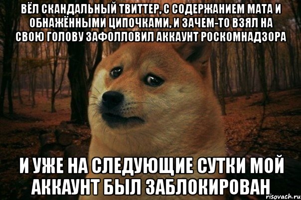 вëл скандальный твиттер, с содержанием мата и обнажëнными ципочками, и зачем-то взял на свою голову зафолловил аккаунт роскомнадзора и уже на следующие сутки мой аккаунт был заблокирован, Мем SAD DOGE