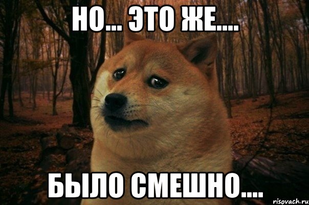 НО... ЭТО ЖЕ.... БЫЛО СМЕШНО...., Мем SAD DOGE