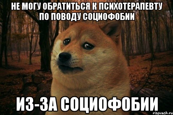 не могу обратиться к психотерапевту по поводу социофобии из-за социофобии, Мем SAD DOGE