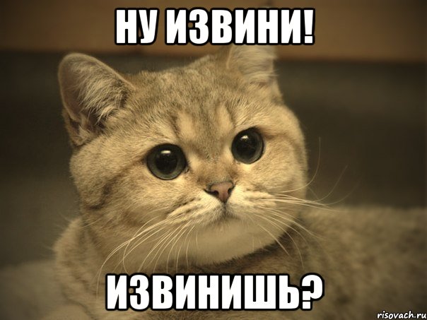 Ну извини! Извинишь?, Мем Пидрила ебаная котик