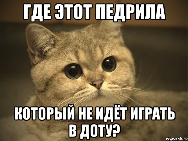 Где этот педрила который не идёт играть в доту?, Мем Пидрила ебаная котик