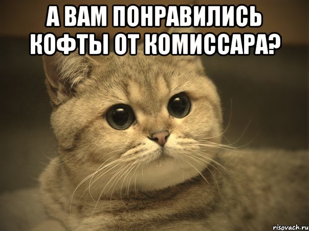 А вам понравились кофты от Комиссара? , Мем Пидрила ебаная котик
