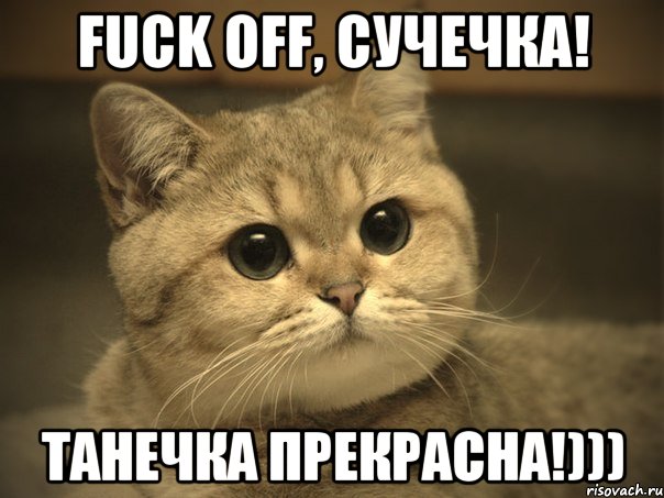 FUCK OFF, сучечка! Танечка прекрасна!))), Мем Пидрила ебаная котик