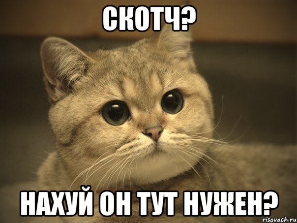 Скотч? Нахуй он тут нужен?, Мем Пидрила ебаная котик