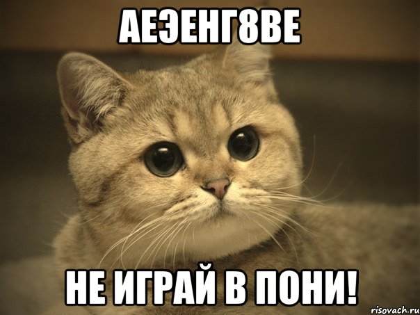аеэенг8ве не играй в пони!, Мем Пидрила ебаная котик