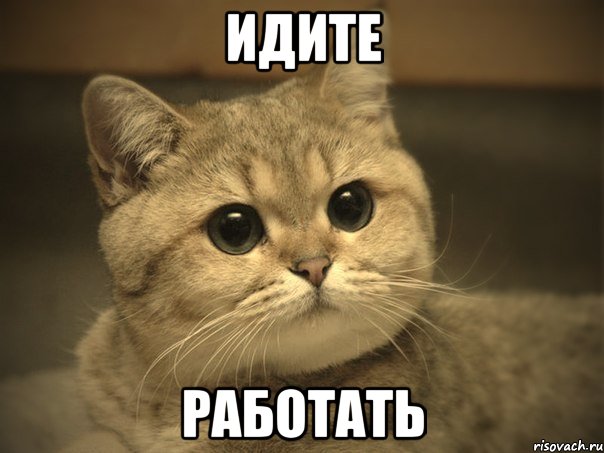 идите работать, Мем Пидрила ебаная котик