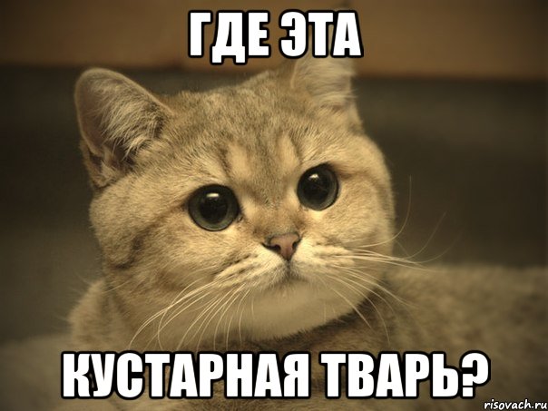 ГДЕ ЭТА КУСТАРНАЯ ТВАРЬ?, Мем Пидрила ебаная котик
