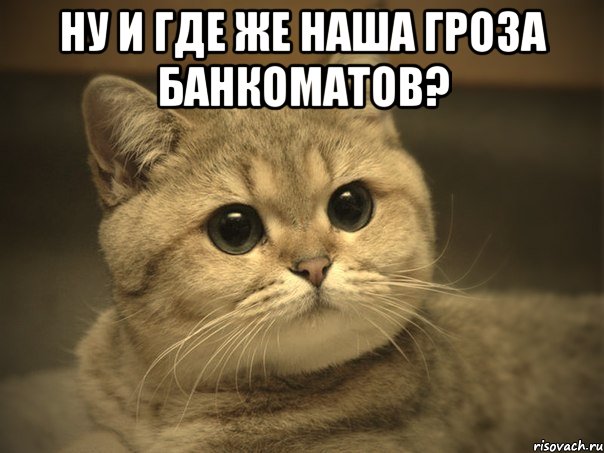 ну и где же наша гроза банкоматов? , Мем Пидрила ебаная котик