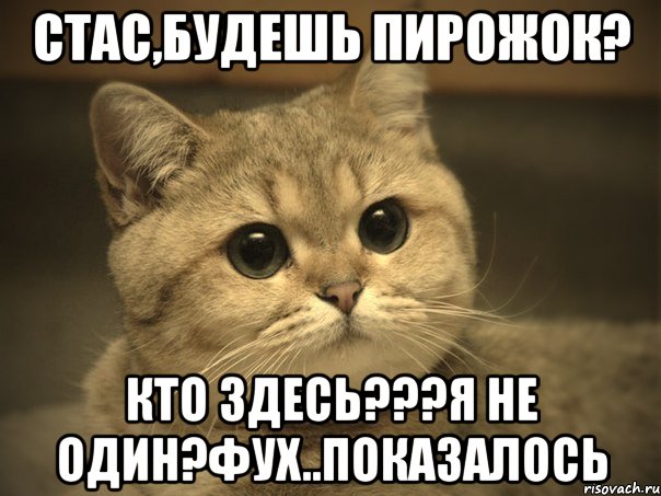 Стас,будешь пирожок? кто здесь???Я не один?Фух..показалось, Мем Пидрила ебаная котик